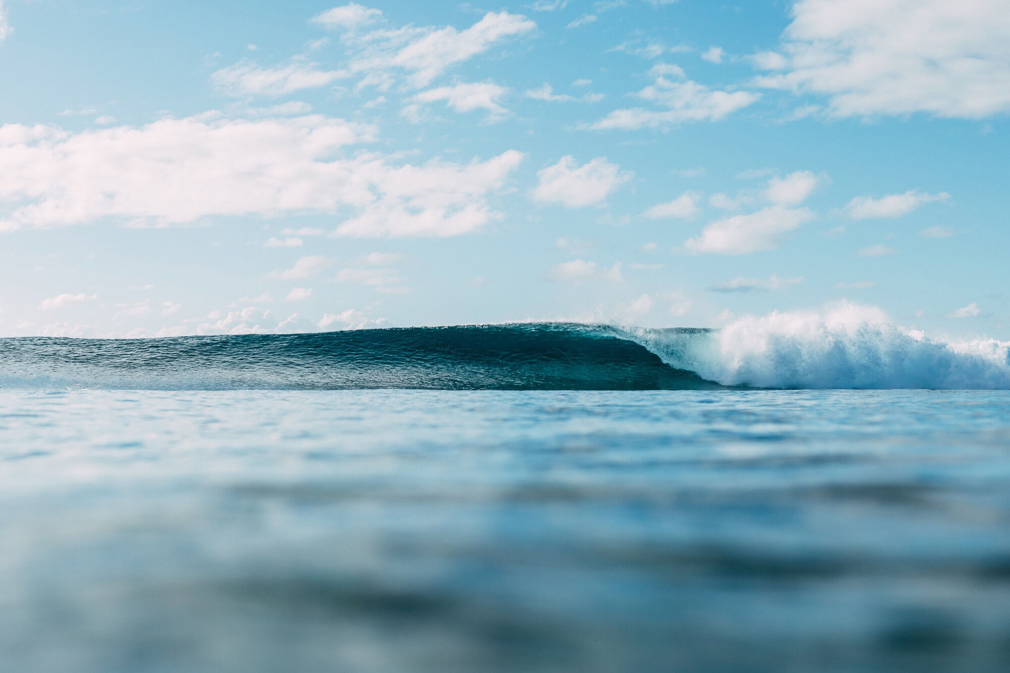 maldivessurf Surfing at Pasta Point