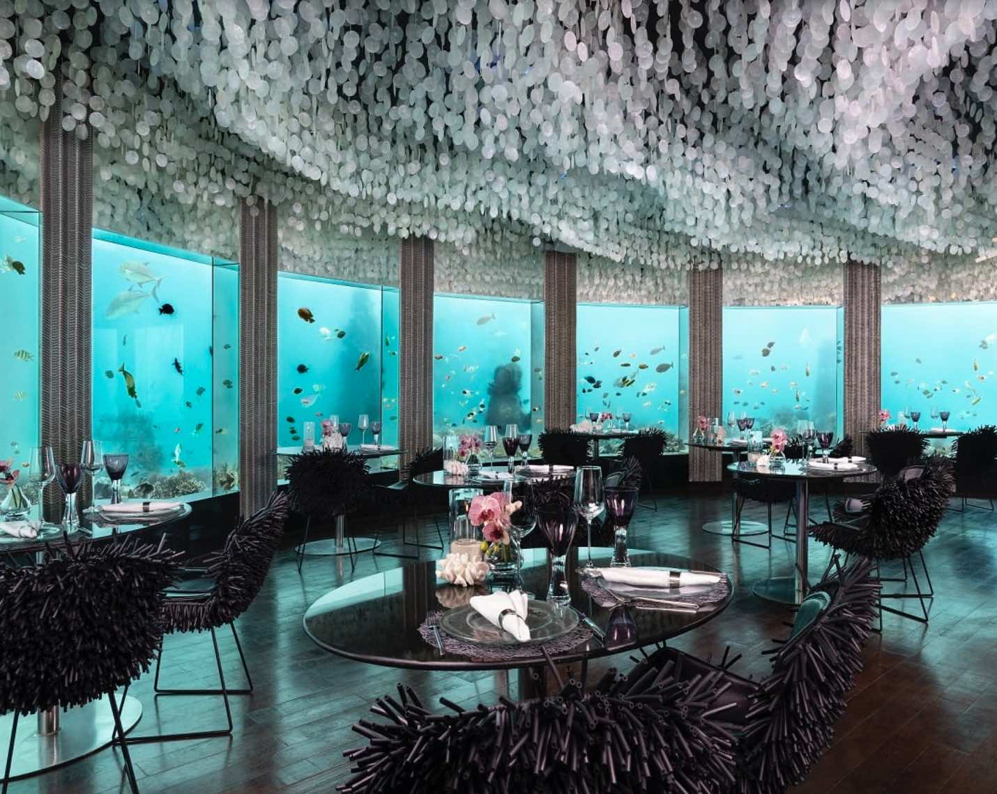 underwater restaurant Niyama